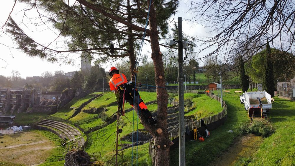 Abattage d'arbres à Cahors 46 Serpe.jpg